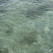 Picture 018
